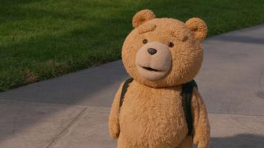 ted 1x1